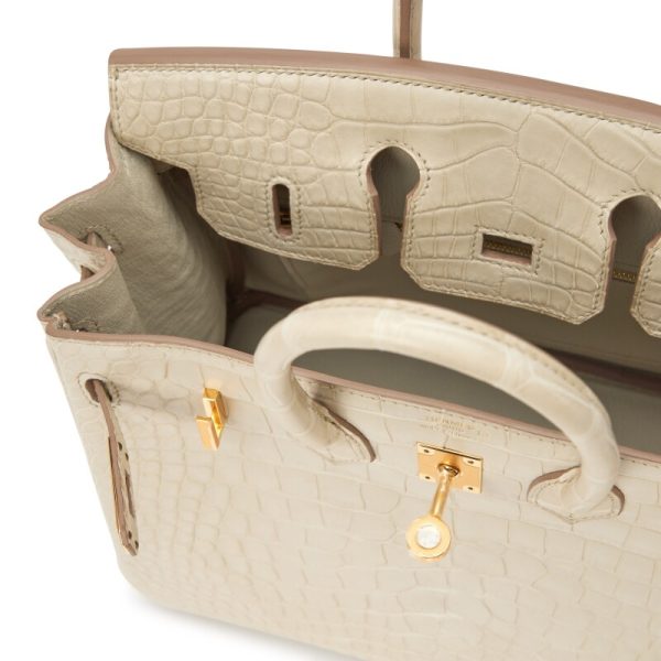 Hermès Beton Matte Mississippiensis Alligator Birkin 25 Gold Hardware - Image 6