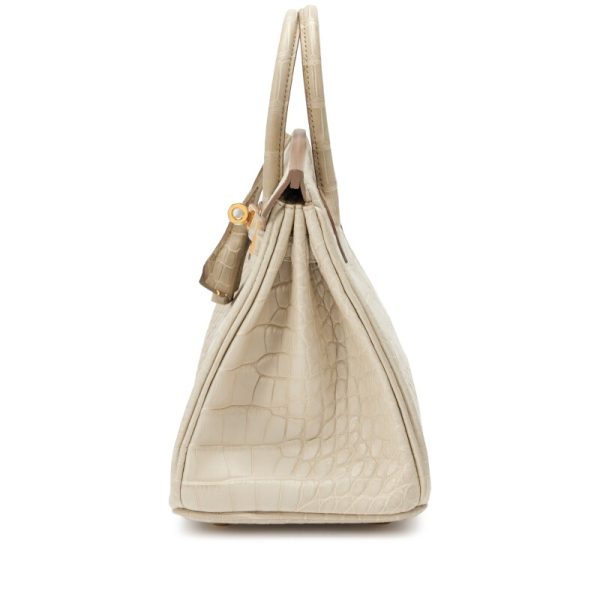 Hermès Beton Matte Mississippiensis Alligator Birkin 25 Gold Hardware - Image 4