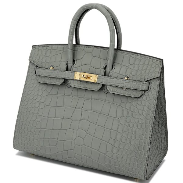 Hermès Birkin 25 Crystal Grey - Image 3